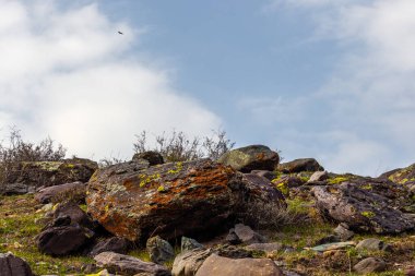 Bir kuş, kayalarla dağılmış huzurlu bir yamacın üzerinde zarifçe uçar. Sakin doğal ortam, gündüzleri bir sükunet ve sükunet hissi uyandırıyor..