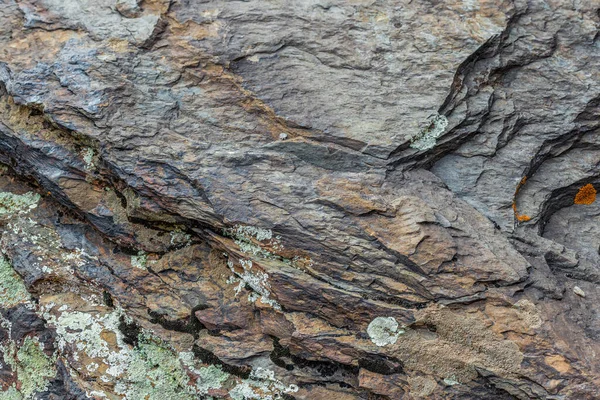 Sert desenli kaya, parlak gün ışığında eşsiz katmanlar ve canlı liken büyümesi sergiliyor. Doğal manzara, açık hava ortamının toprak tonları ve sertliğini vurgular..