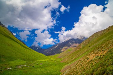 Kırgızistan 'da sakin bir derenin huzur içinde aktığı sakin bir vadinin üzerinde görkemli dağlar yükseliyor.