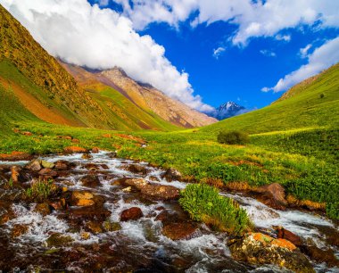 Huzurlu dağ manzarası görkemli tepeler, sakin bir dere ve engebeli kayaları barındırır. Bereketli bitki örtüsü bu barışçıl doğa sahnesine gün boyunca güzellik katar. Kırgızistan 'da