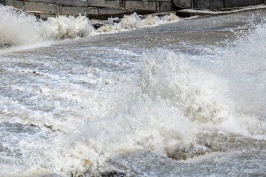 Güçlü su, parlak gün ışığında akan bir nehirde çarpıcı bir şekilde sıçrar. Doğal ortam, elementindeki suyun gücünü ve hareketini gösteriyor.