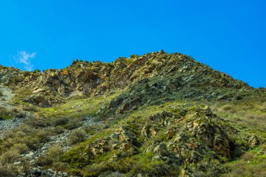 Kırgızistan 'da açık mavi gökyüzü altında engebeli kayaları ve yemyeşil bitkileri gösteren geniş bir dağ manzarası..