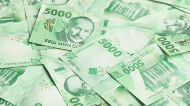 Yeni 5000 Kırgızistan Som banknotunun döner arkaplanı, tam kare döngüsel arkaplan