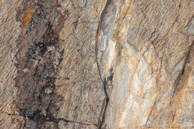 Engebeli kaya yüzeyi, liken parçalarıyla süslenmiş karmaşık doku ve çatlaklar sergiliyor. Doğal doğa düzeni, parlak gün ışığında jeolojik oluşumların özünü yakalar..