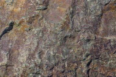 Yıpranmış bir metamorfik kayanın detaylı görüntüsü kahverengi, gri ve yeşil renklerin karışımını gösteriyor. Ve Chuy Bölgesi 'nin doğal ışık altında pürüzlü, pürüzlü bir dokusu var..