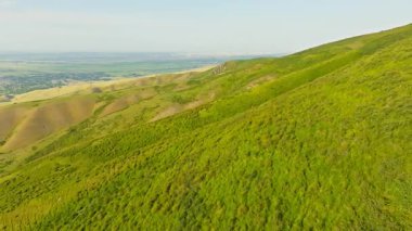 İleriye doğru uçan drone görüntüsü yuvarlanan yeşil tepelerin manzarası ve Kırgızistan 'daki uzak Bişkek şehri