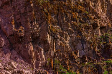 Dağlık bir bölgede heybetli kaya tepeli kuleler. Bitki örtüsü yarıklara yapışır, gündüz vakti dramatik ve ıssız bir ortamda direnç gösterir..