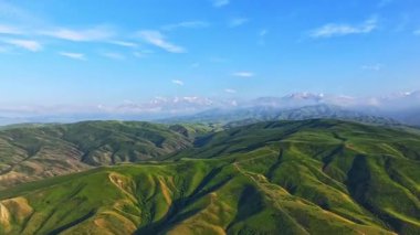 Kırgızistan 'ın yeşil eteklerinde, güneşli yaz gününde ufukta karla kaplı dağlar yükseliyor.