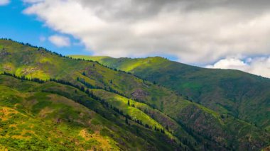 time lapse of clouds flying over green mountain slope with some trees at sunny summer day in Kyrgyzstan