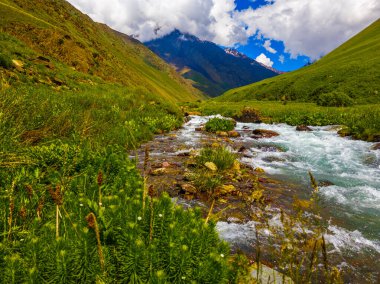 Serene river gracefully flows through rocky terrain, surrounded by lush green vegetation and majestic mountains. Daylight illuminates the tranquil scene, evoking a sense of peace and harmony with nature.