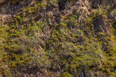 Engebeli kaya yüzeyi canlı yosunlarla ve çeşitli yabani bitkilerle kaplı. Gündüz sahnesi, dağlık bir bölgede el değmemiş doğanın özünü yakalar, vahşi bir güzellik hissi uyandırır..