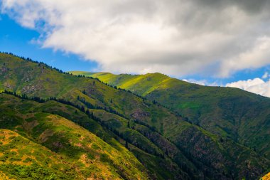 Görkemli dağ manzarası Kırgızistan 'da bulutlu bir gökyüzünün altında yemyeşil ağaçlar ve çimenli yamaçlar barındırır..