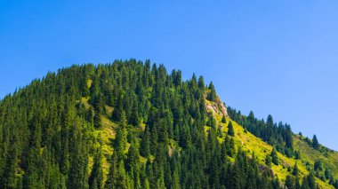 Kırgızistan 'da açık bir gökyüzünün altında her zaman yeşil ağaçlar ve kayalık yamaçlar yer alır..