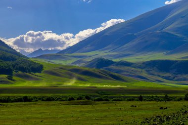 Kırgızistan 'da mavi gökyüzünün altında yeşil tepelerin ve dağların görkemli manzarasını toz bulutu ile geçen araba..