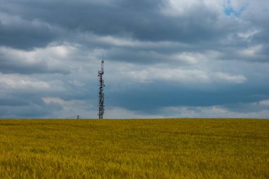 Antenlerle süslenmiş uzun şanzıman kulesi ve altın tahıl tarlasında belirgin bir şekilde duran yemekler. Bir elektrik hattı kırsal kesimde öğleden sonra dramatik bir atmosfer yarattığını ima ediyor..