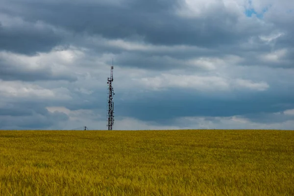 Antenlerle süslenmiş uzun şanzıman kulesi ve altın tahıl tarlasında belirgin bir şekilde duran yemekler. Bir elektrik hattı kırsal kesimde öğleden sonra dramatik bir atmosfer yarattığını ima ediyor..