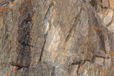 Engebeli kaya oluşumu parlak gün ışığında karmaşık desenler ve desenler gösterir. Turuncu yosun parçaları ıssız bir açık havada kayalık yamaç yüzeyine renk katar..