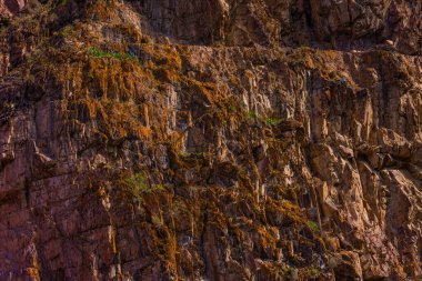 Kaya yüzeyi, çatlaklarda yetişen çeşitli bitkilerle engebeli dokular sergiliyor. Doğal çevre, gün içinde dağlık bir bölgenin özünü yakalar ve yeryüzü güzelliğini gözler önüne serer..