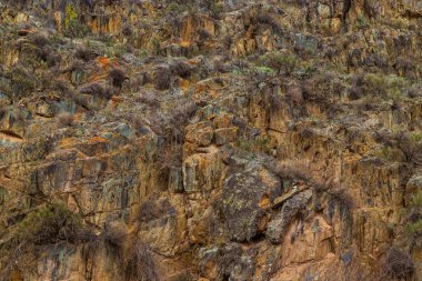 Numerous rocks of varying sizes and colors dominate rocky hillside. Sparse, dry-looking vegetation grows in crevices, creating a rugged, desolate atmosphere in natural environment.
