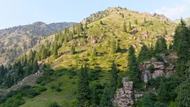 Görkemli dağların manzarası gür ağaçlar ve canlı mavi gökyüzünün altındaki yeşil çimlerle çevrili. İHA görünümü yükseliyor.