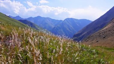 Sakin dağlık arazide rüzgarda salınan önplanda uzun, kuru otlar bulunur. Görkemli dağlar açık gündüz gökyüzünün altında yükseliyor ve barışı çağrıştırıyor. Statik kamera.