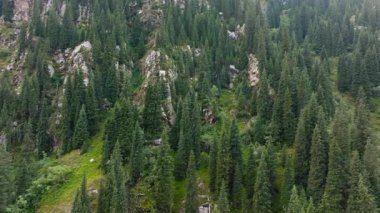 Yoğun kozalaklı ormanlarda kayalık çıkıntılar ve yemyeşil yamaçlar bulunur. Doğal manzara gündüzleri huzurlu ve huzurlu bir atmosferi çağrıştırıyor..