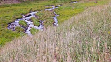 Huzurlu dağ çayırları kayaların üzerinden akan yumuşak bir akarsudur. Etrafı yemyeşil otlarla ve rüzgarda sallanan renkli çiçeklerle çevrilidir..