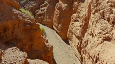 Kırgızistan 'da seyrek bitki örtüsü ile aşınmış kumtaşı kanyon duvarları arasında alçak irtifa drone uçuşu