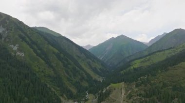 Sakin dağ manzarasında akan nehir ve yemyeşil ağaçlarla geniş bir vadi bulunur. Bulutlu gökyüzü doğal hayata huzur katıyor. İHA görünümü yükseliyor
