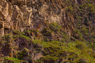 Engebeli kaya yüzeyi canlı yosunlarla süslenmiş ve sakin dağlık bir arazide çeşitli alçak mevzilenmiş bitkilerle. Gün ışığı doğanın dokusunu ve vahşi güzelliğini vurgular.