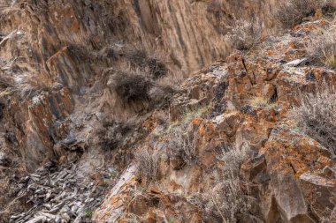 Engebeli kayalık arazi ıssız bir dağ manzarasında gelişen seyrek bitkilere ev sahipliği yapıyor. Sahne, doğanın saf güzelliğini gün ışığında yakalar..