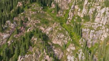 Serene view of rocky mountains adorned with vibrant green vegetation. Drone view.