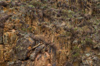 Engebeli kayalar ve dayanıklı bitkiler ıssız bir dağlık bölgede gelişir. Gündüz ışığı, doğal çevrenin üzerine dünyevi tonlar düşürür. Saf güzelliğini vurgular..