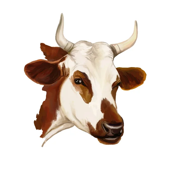 Cow vector illustration  painted watercolor Vector Graphics