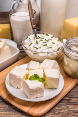 çeşitli süt ürünleri 