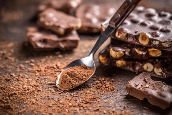 Cocoa powder with chocolate — Stock Photo, Image