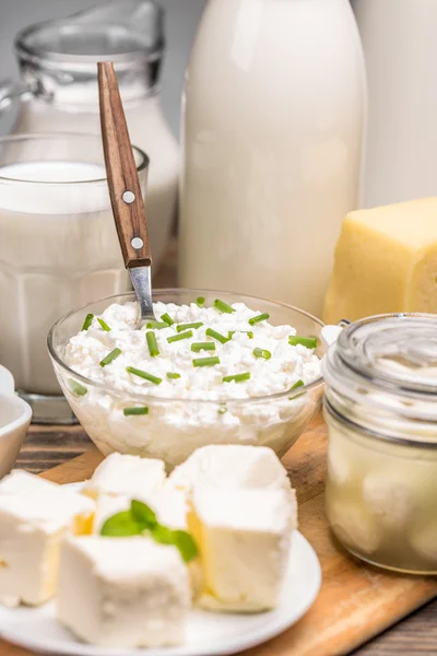 Composition with dairy products — Stock Photo, Image