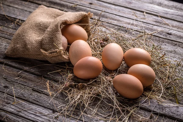 Uova fresche marroni — Foto Stock