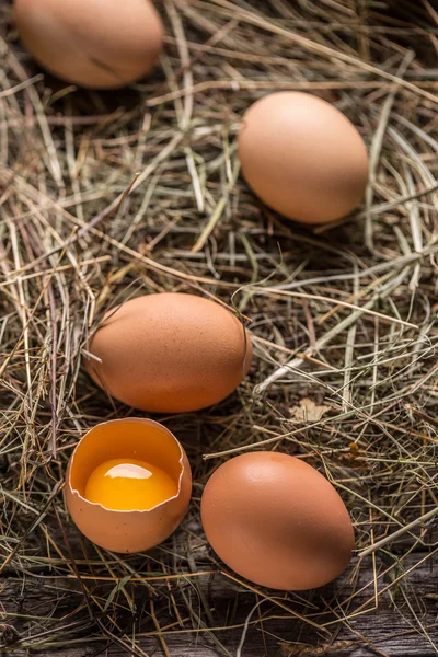 Huevos pardos en un nido —  Fotos de Stock