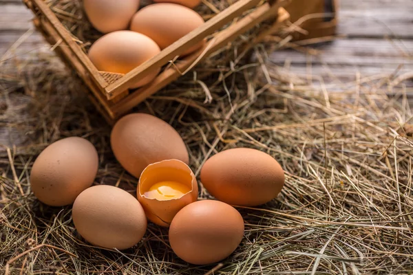 Uova fresche di fattoria — Foto Stock