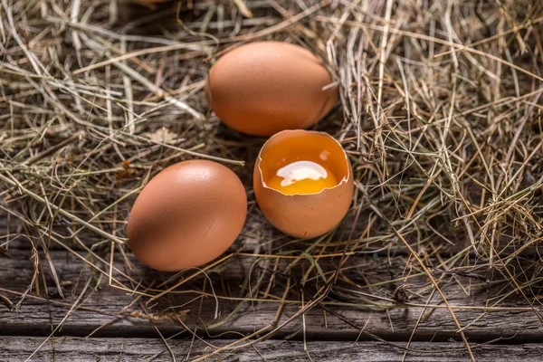 Коричневий курячих яйцях — стокове фото