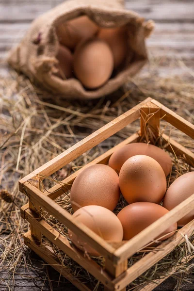 Färska bruna ägg — Stockfoto