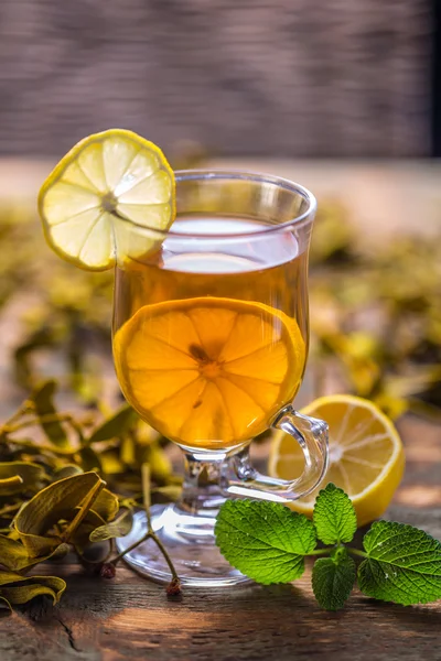 Cup of mistletoe tea — Stock Photo, Image