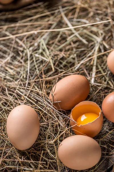 Uova fresche marroni — Foto Stock