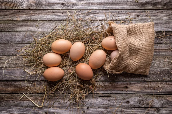 Huevos de gallina marrón —  Fotos de Stock
