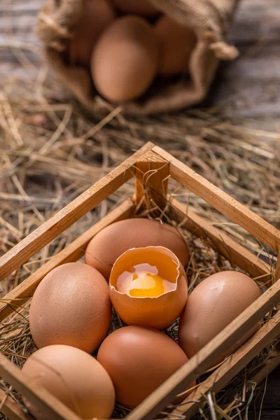 Färska bruna ägg — Stockfoto