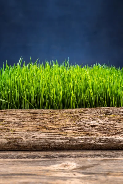 Cerca com grama verde — Fotografia de Stock