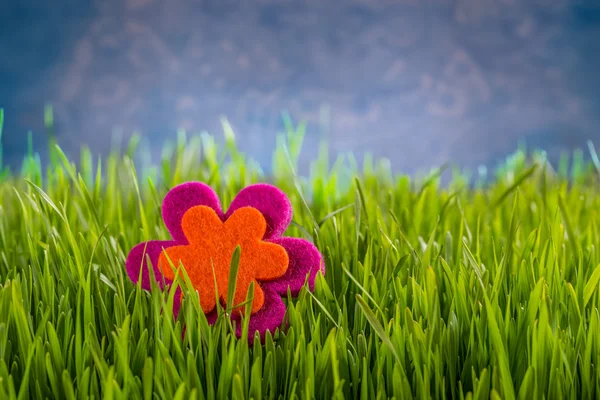 Yeşil çimen çiçek hissettim — Stok fotoğraf