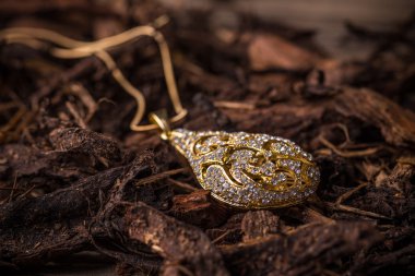 Kolye ile rihnestone