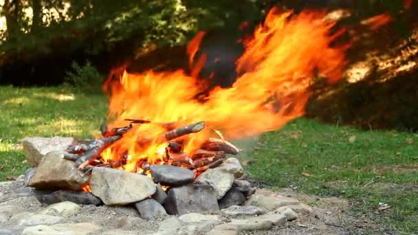 Aufnahmen eines klassischen Lagerfeuers — Stockvideo